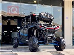 بولاريس RZR